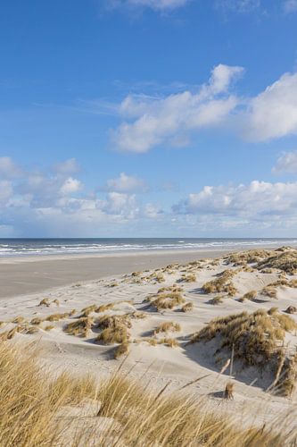 De duinen en het strand