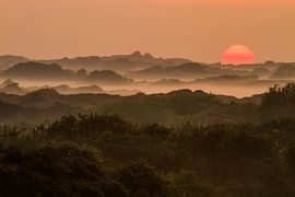 Zonsopkomst duinen Berkheide