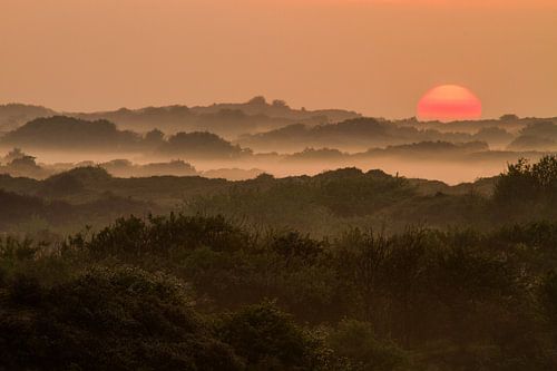 Zonsopkomst duinen Berkheide