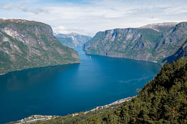 Vue aérienne de l'Aurlandsfjord et de ses versants boisés, Norvège sur Fechita Florentina Catalina