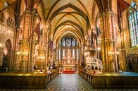 Matthias Kerk in Boedapest, Hongarije van Sven Wildschut thumbnail