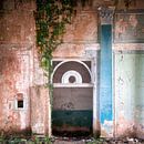 Abgelaufene Mauer mit Pflanzen. von Roman Robroek – Fotos verlassener Gebäude Miniaturansicht