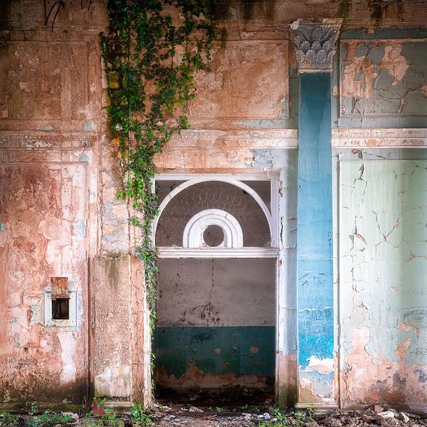 Abgelaufene Mauer mit Pflanzen. von Roman Robroek – Fotos verlassener Gebäude