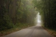 On the way on lonely paths by Andreas Kilian thumbnail