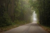 On the way on lonely paths