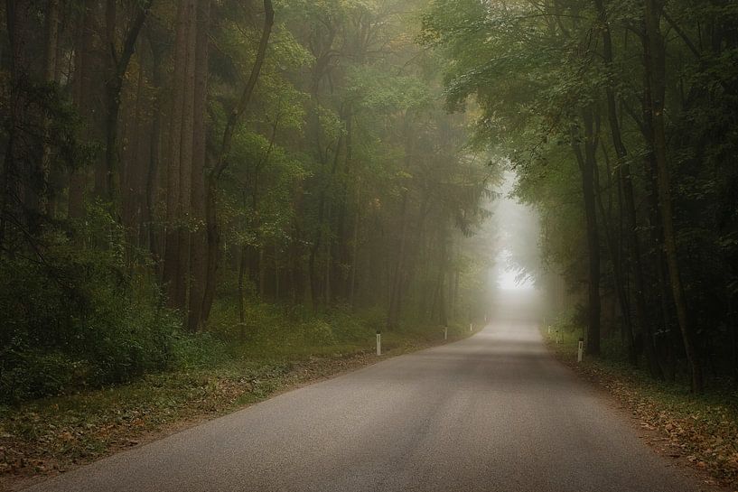 On the way on lonely paths by Andreas Kilian