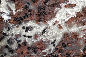 Zeehondenkolonie van bovenaf - Cape Cross Seal Reserve, Namibië van Martijn Smeets