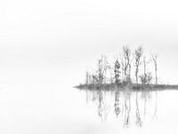 Mirror, mirror