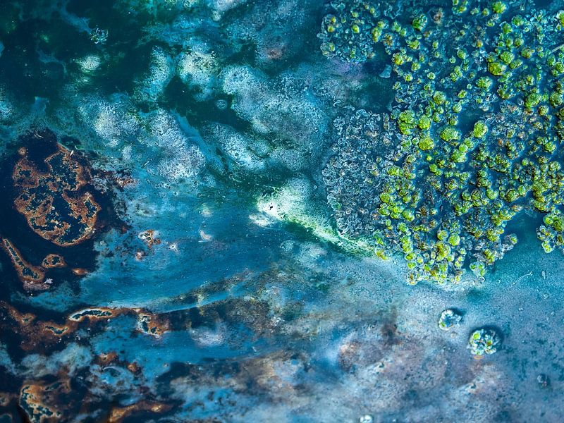 colourful abstract by Aukje Bakker