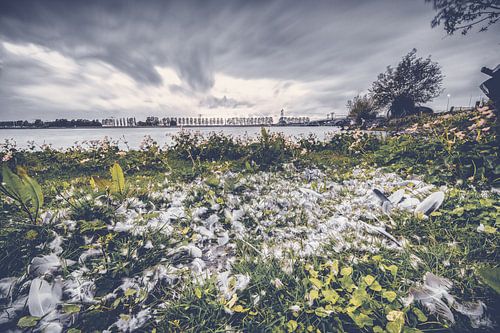 Plukplaats van een roofdier langs het water