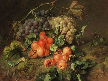 Adriana Johanna Haanen,Nature morte de fruits