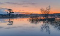Sunrise in the Dwingelderveld National Park by Henk Meijer Photography thumbnail