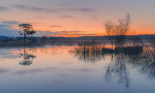 Lever de soleil dans le parc national de Dwingelderveld