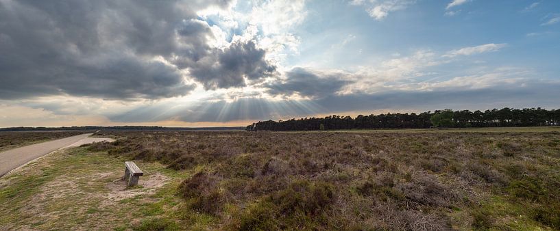 Hope by Rien de Hoop