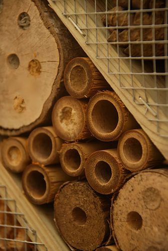 nieuwe woning voor de bijen