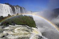 Iguazu-Fälle von Antwan Janssen Miniaturansicht