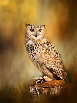 Perching Eurasian Eagle-owl (Bubo Bubo) by Diana van Tankeren