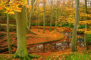 Landgut Elswout im Herbst von Michel van Kooten