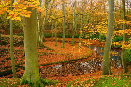 Landgoed Elswout in de herfst