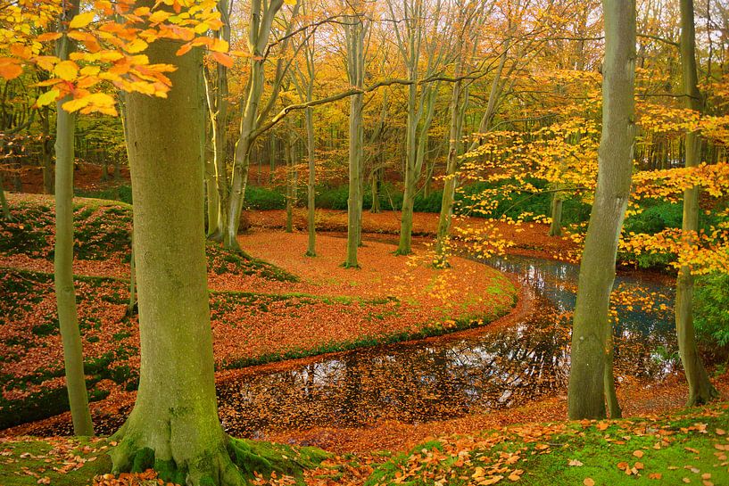 Domaine rural d'Elswout en automne par Michel van Kooten