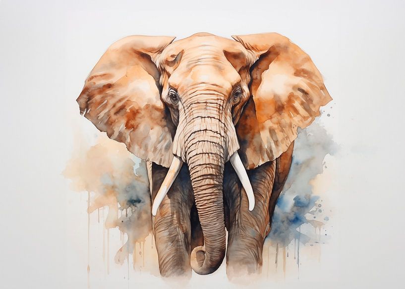 Elephant watercolour by vanMuis