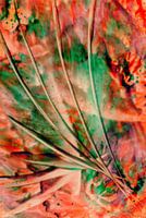 Mindful Colors 28