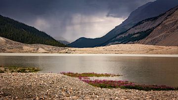 Approche de la pluie diluvienne sur Christa Thieme-Krus