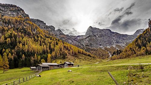 The rear Marbachalm and the Faulkogel