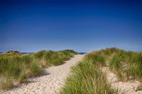 To the beach