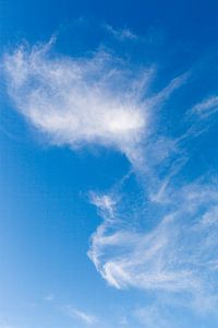In de wolken