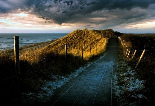 Duinpad.... sur Wim Schuurmans