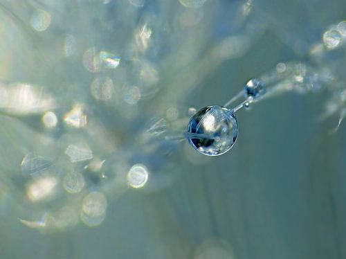 Blue Drop by Caroline Lichthart