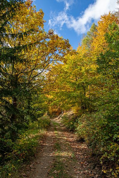 Goldener Oktober - Indian Summer von t.ART
