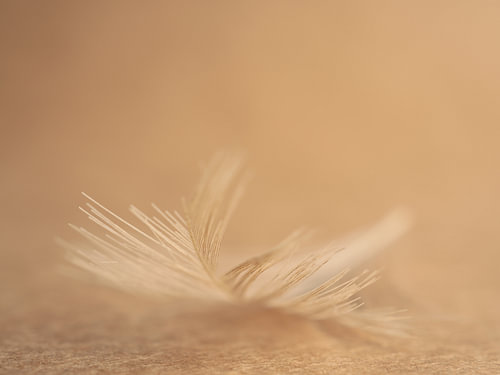 Léger comme une plume