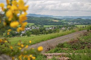Rothaargebirge, Sauerland, Deutschland
