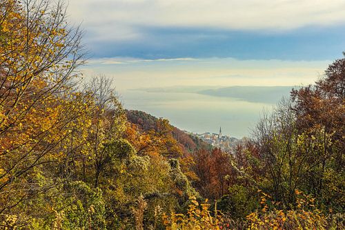 View of Lake Überlingen and the Lake Constance community of Sipplingen - Baden-Württemberg