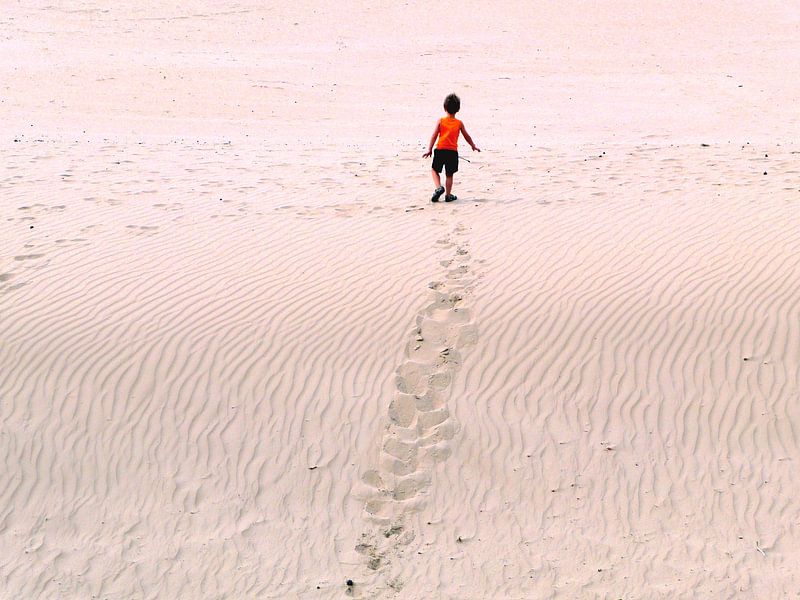 Op zoek naar de toekomst. by Lex Boon