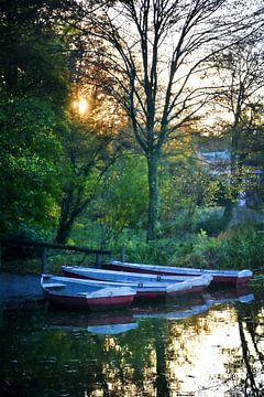 Ein Abend am See