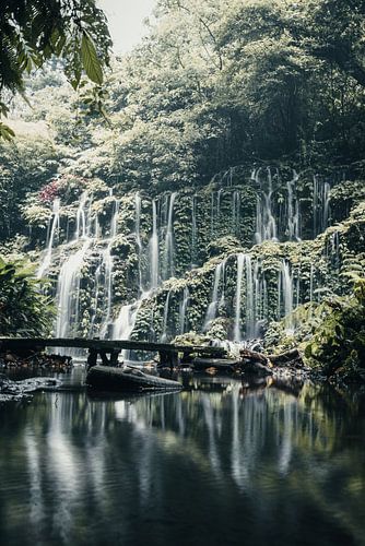 Enchanting waterfall in Bali's jungle, Indonesia