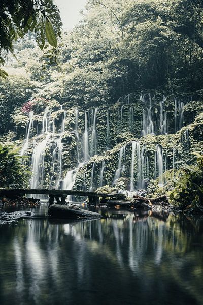 Bezaubernder Wasserfall im Dschungel von Bali, Indonesien von Troy Wegman