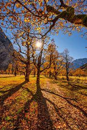 Großer Ahornboden von Einhorn Fotografie
