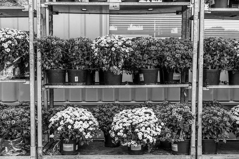 Blumenverkauf par Rolf Pötsch