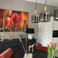 Photo de nos clients: Tulipes III par Pieter Navis, sur art frame