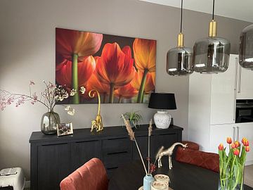 Photo de nos clients: Tulipes III sur Pieter Navis