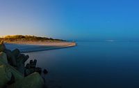 Grey dunes in the early morning