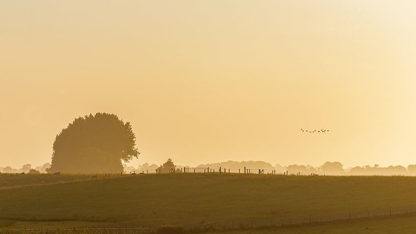 A foggy morning at the Dollard in Groningen by Karin Bijpost