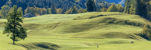 Herbstlicht im Oberallgäu