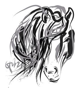 Crin de cheval
