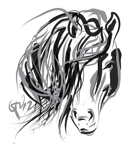 Horse and Hair