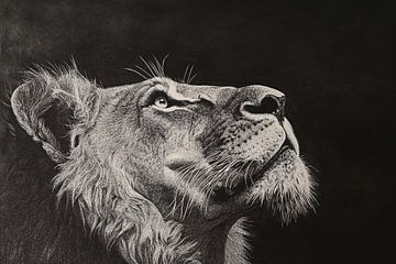 Black-and-white portrait of lion by Imperial Art House